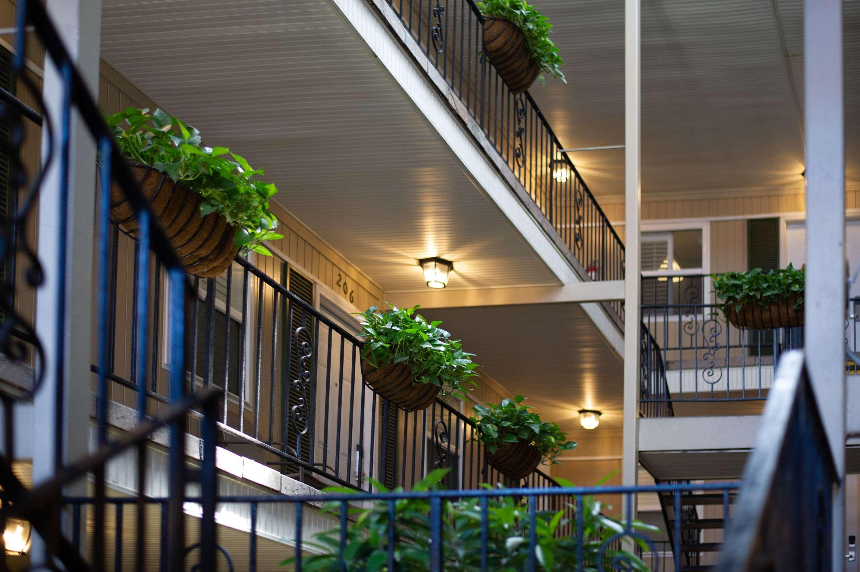 Frenchmen Orleans At 519, Ascend Hotel Collection New Orleans Buitenkant foto